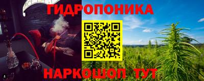 сатива Азнакаево