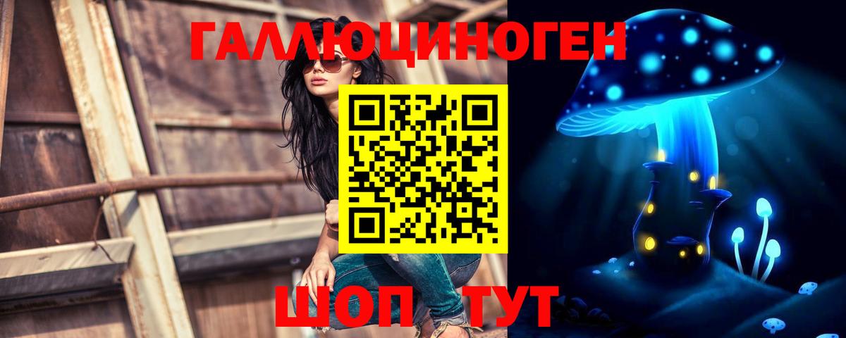 Алексеевка  Псилоцибиновые грибы Cubensis  Вход с VPN 